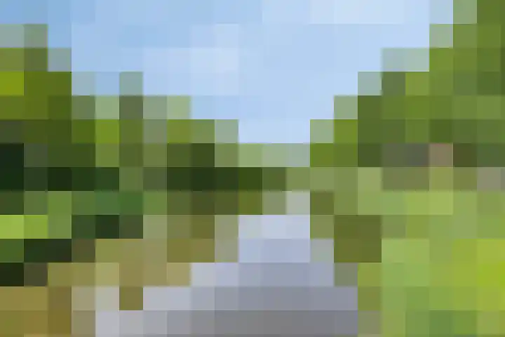 Zenegroen 24 Hardenberg thumbnail 46