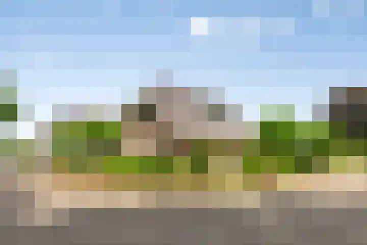 Zenegroen 24 Hardenberg thumbnail 47