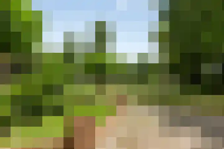 Zenegroen 24 Hardenberg thumbnail 48