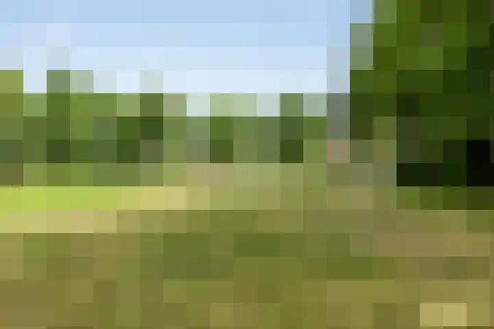 Zenegroen 24 Hardenberg thumbnail 49