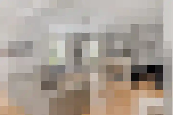 Zenegroen 24 Hardenberg thumbnail 8