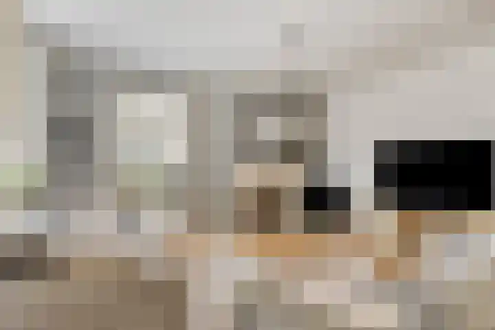 Zenegroen 24 Hardenberg thumbnail 9
