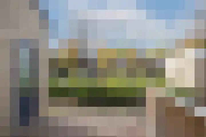 Zenegroen 28 Oldenzaal thumbnail 4