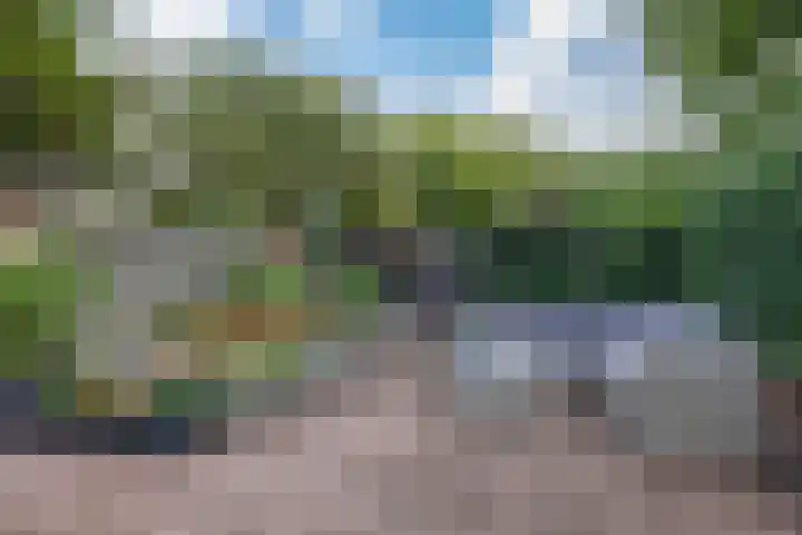 Zenegroen 34 Leeuwarden thumbnail 33