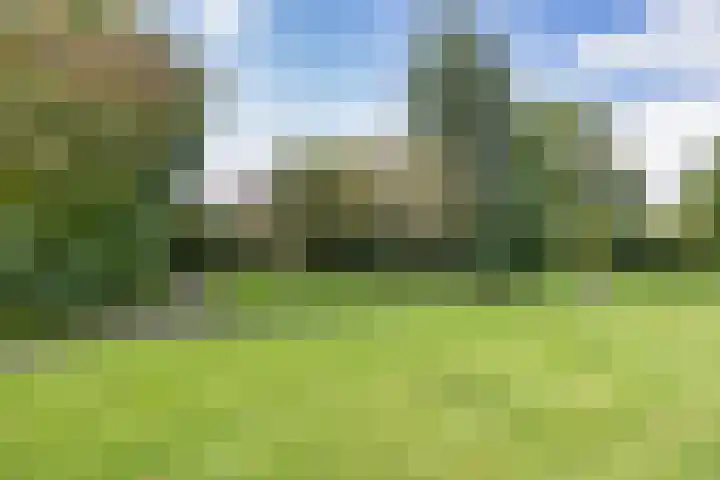 Zenegroen 34 Leeuwarden thumbnail 37
