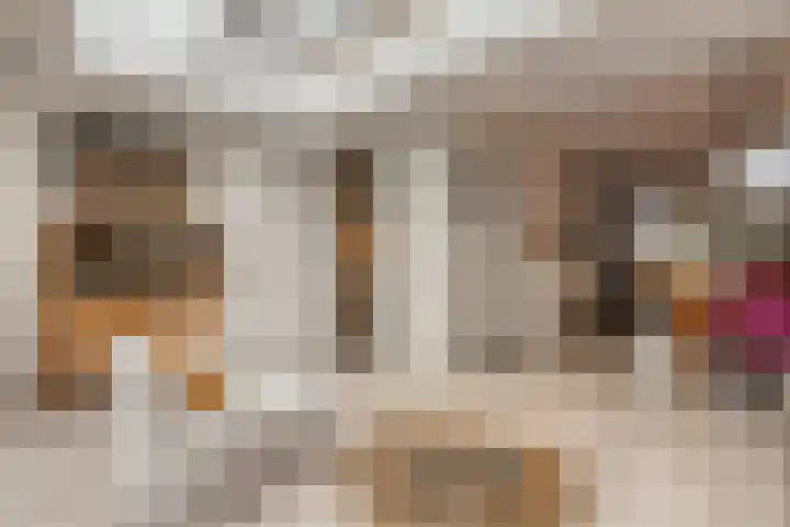 Zenegroen 5 Kampen thumbnail 13