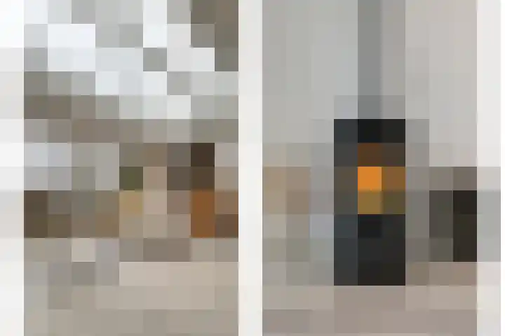 Zenegroen 5 Kampen thumbnail 14