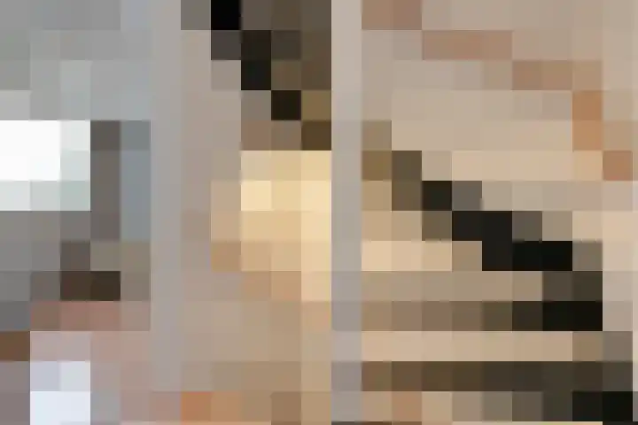Zenegroen 5 Kampen thumbnail 20