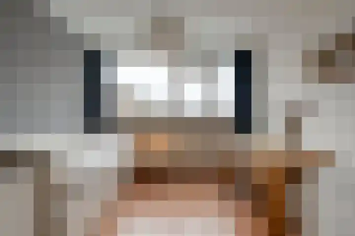 Zenegroen 5 Kampen thumbnail 22