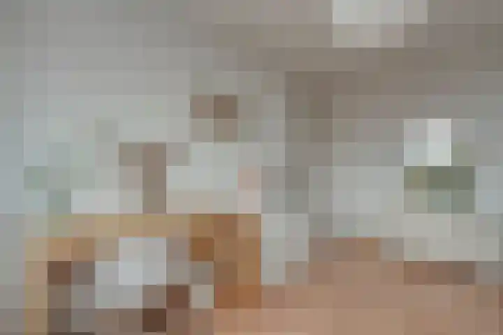 Zenegroen 5 Kampen thumbnail 23