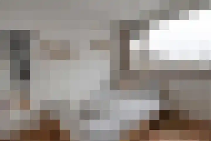 Zenegroen 5 Kampen thumbnail 24