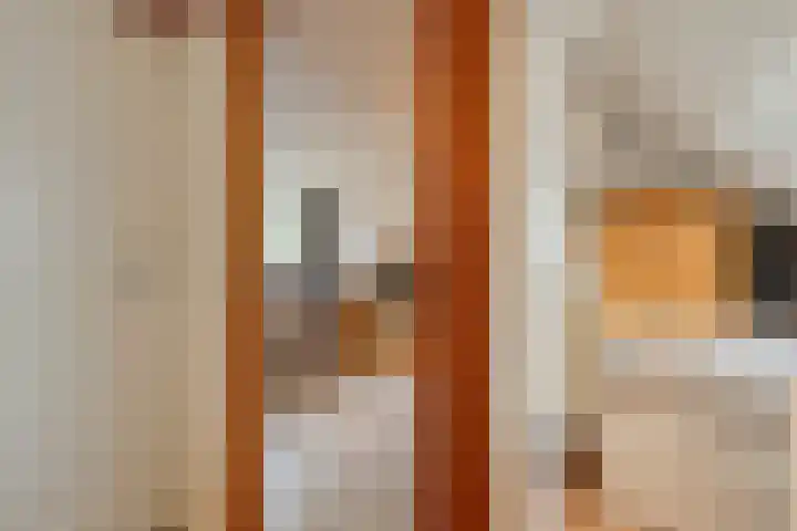 Zenegroen 5 Kampen thumbnail 32