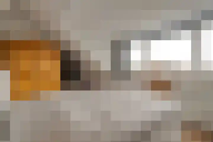 Zenegroen 5 Kampen thumbnail 33