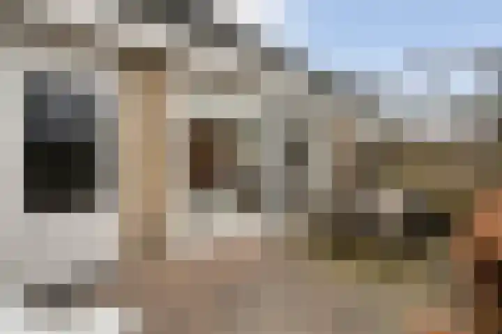 Zenegroen 5 Kampen thumbnail 37