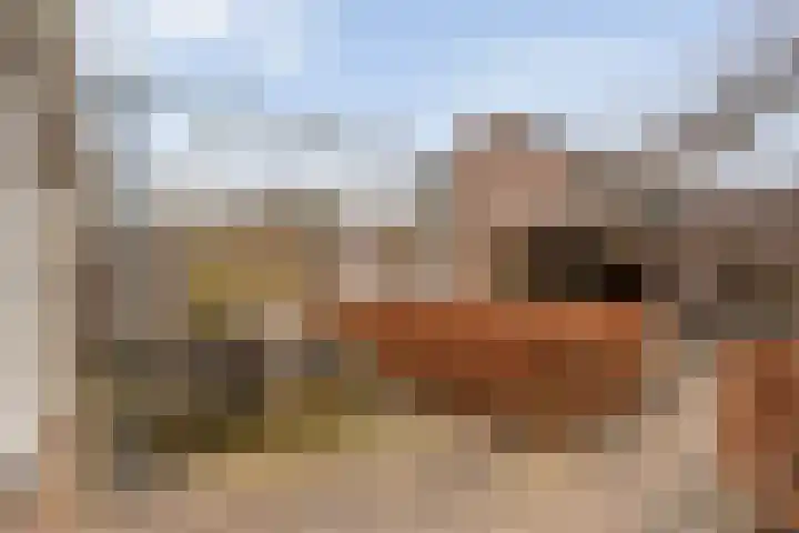 Zenegroen 5 Kampen thumbnail 38