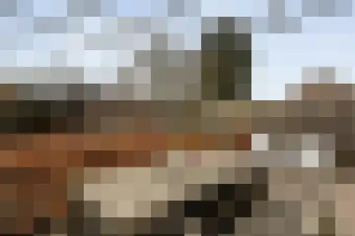 Zenegroen 5 Kampen thumbnail 39