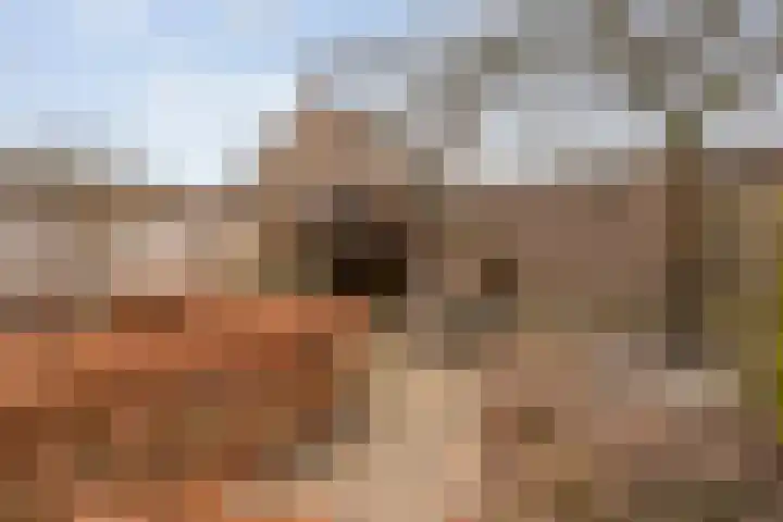 Zenegroen 5 Kampen thumbnail 40