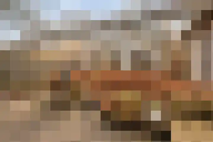 Zenegroen 5 Kampen thumbnail 41