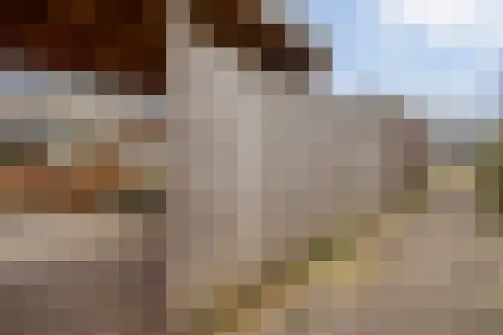 Zenegroen 5 Kampen thumbnail 44
