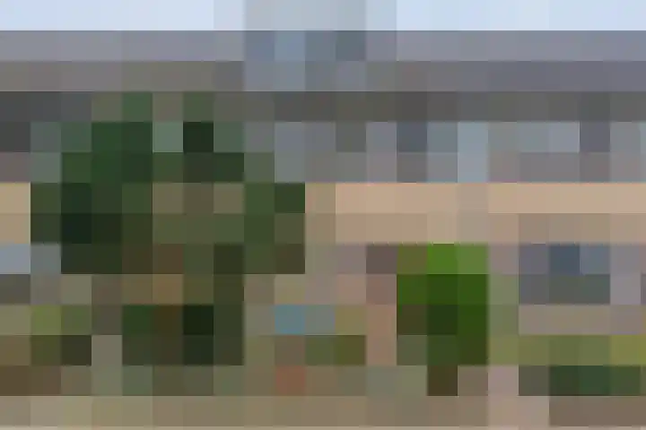 Zenegroen 5 Kampen thumbnail 45