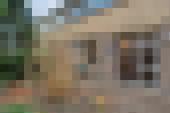 Zenegroen 5 Kampen thumbnail 47