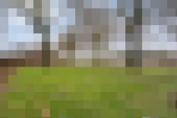Zenegroen 5 Kampen thumbnail 49