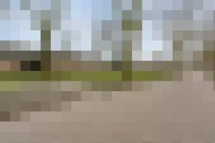 Zenegroen 5 Kampen thumbnail 50