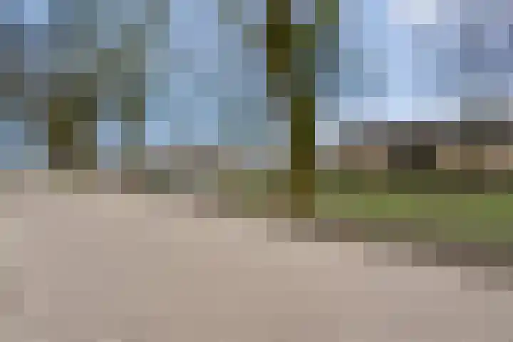 Zenegroen 5 Kampen thumbnail 51