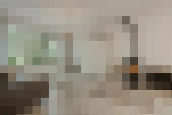 Zenegroen 5 Kampen thumbnail 6