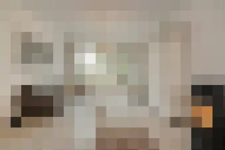 Zenegroen 5 Kampen thumbnail 7