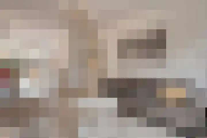 Zenegroen 5 Kampen thumbnail 8