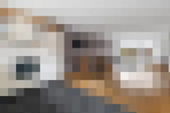 Zenegroen 5 Nijverdal thumbnail 11