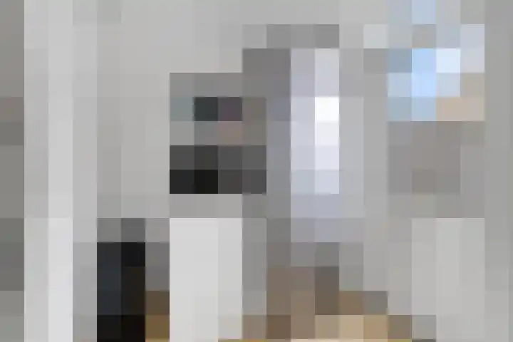Zenegroen 5 Nijverdal thumbnail 12