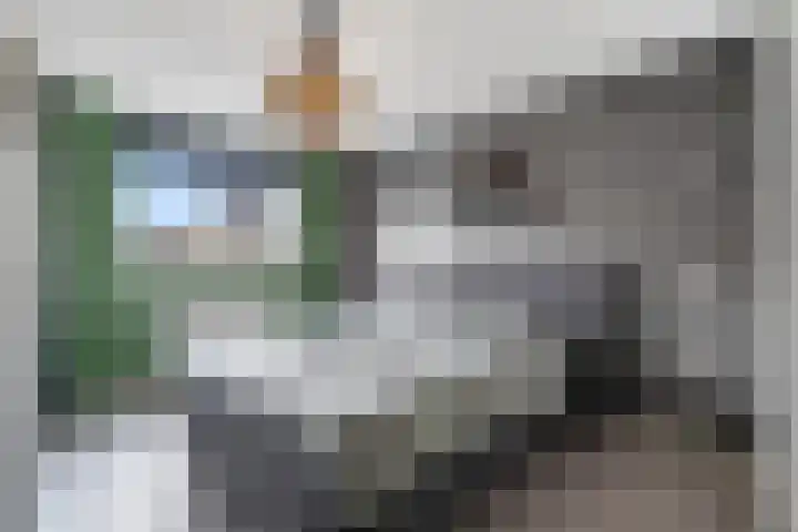 Zenegroen 5 Nijverdal thumbnail 17