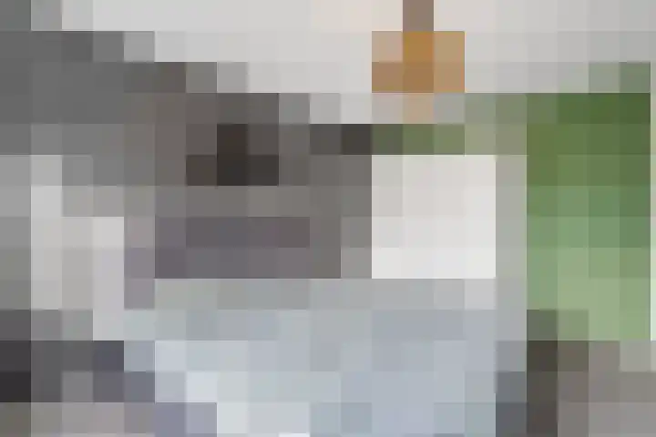 Zenegroen 5 Nijverdal thumbnail 18