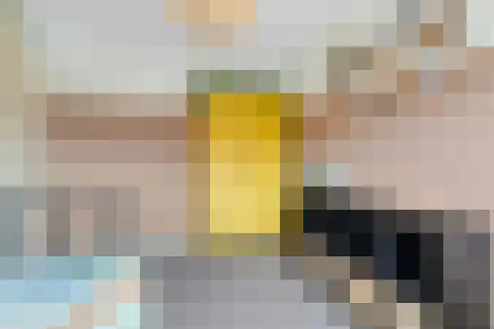 Zenegroen 5 Nijverdal thumbnail 22