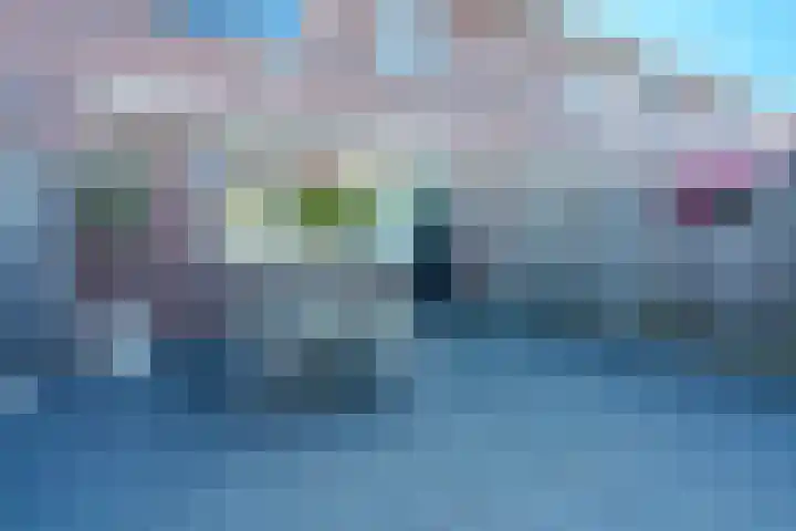 Zenegroen 5 Nijverdal thumbnail 26