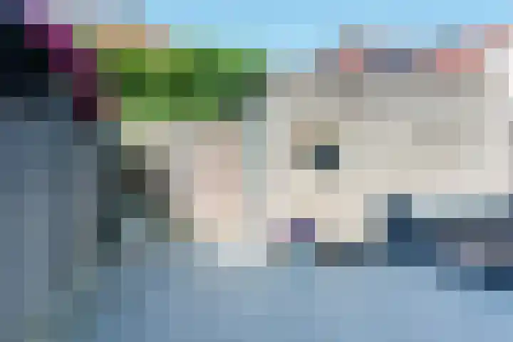 Zenegroen 5 Nijverdal thumbnail 28