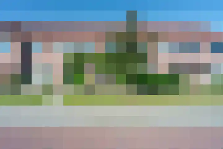 Zenegroen 5 Nijverdal thumbnail 30