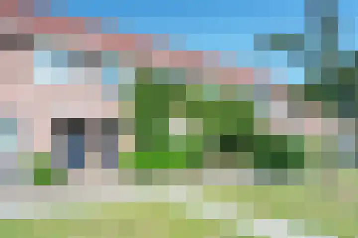 Zenegroen 5 Nijverdal thumbnail 36