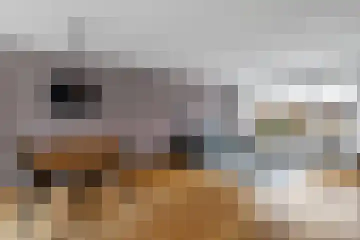 Zenegroen 5 Nijverdal thumbnail 4