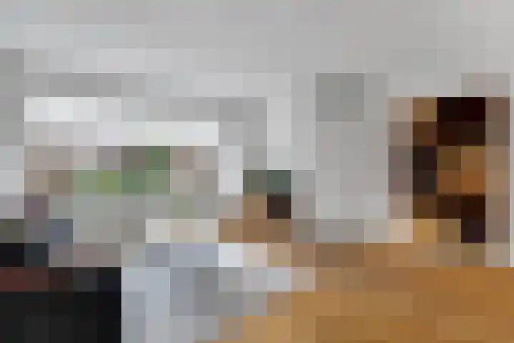 Zenegroen 5 Nijverdal thumbnail 5