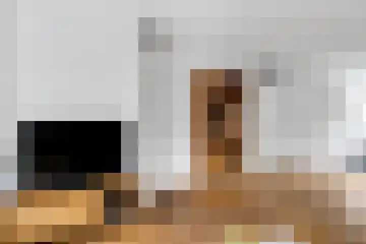 Zenegroen 5 Nijverdal thumbnail 6