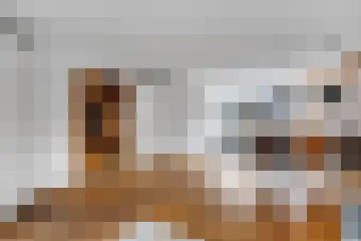 Zenegroen 5 Nijverdal thumbnail 7