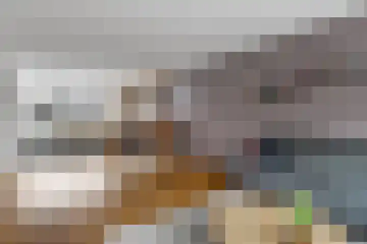 Zenegroen 5 Nijverdal thumbnail 8