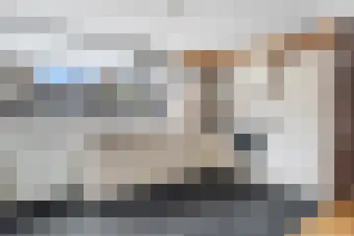 Zenegroen 5 Nijverdal thumbnail 9