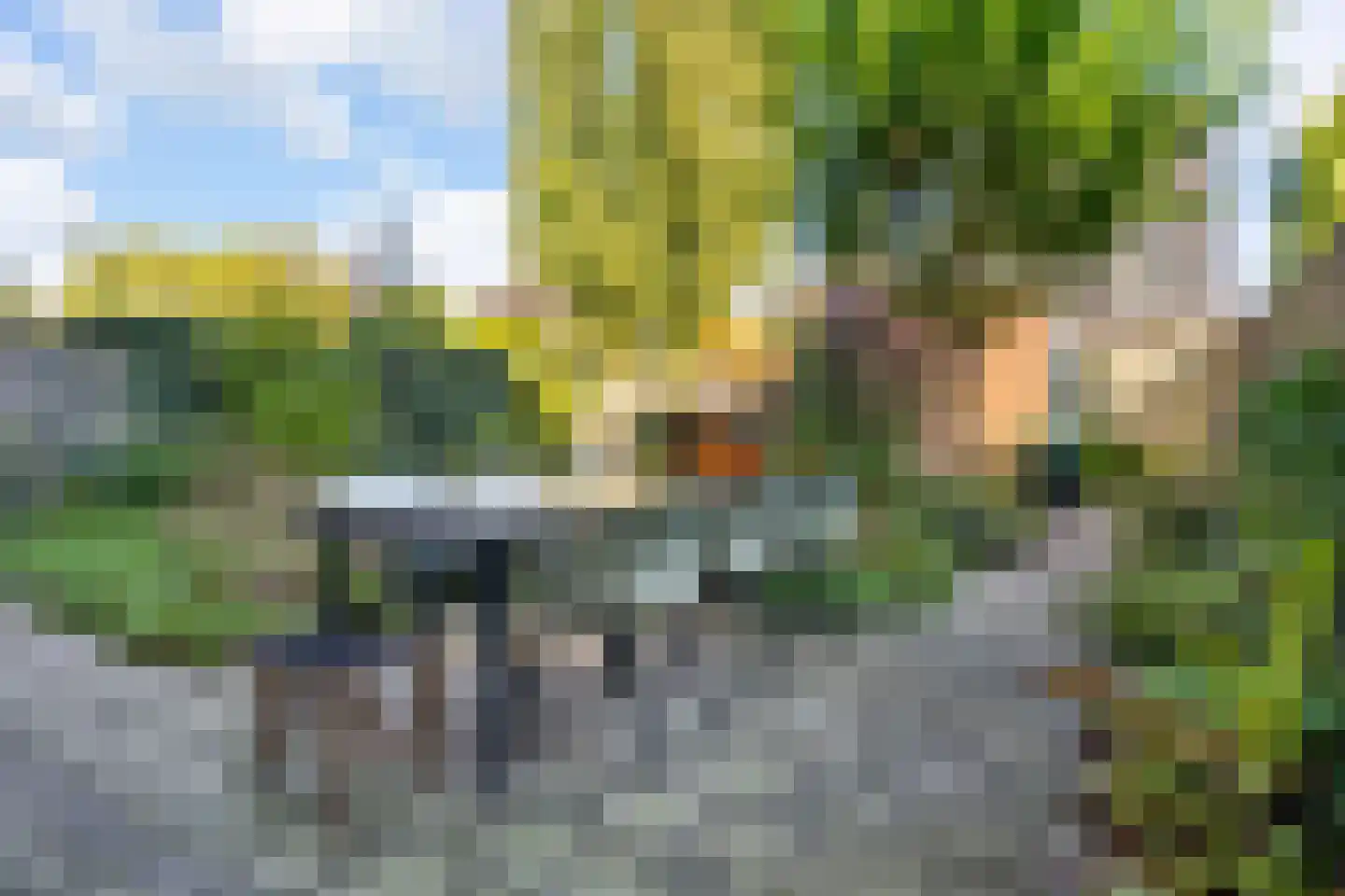 Zenegroen 54 Arnhem thumbnail 18