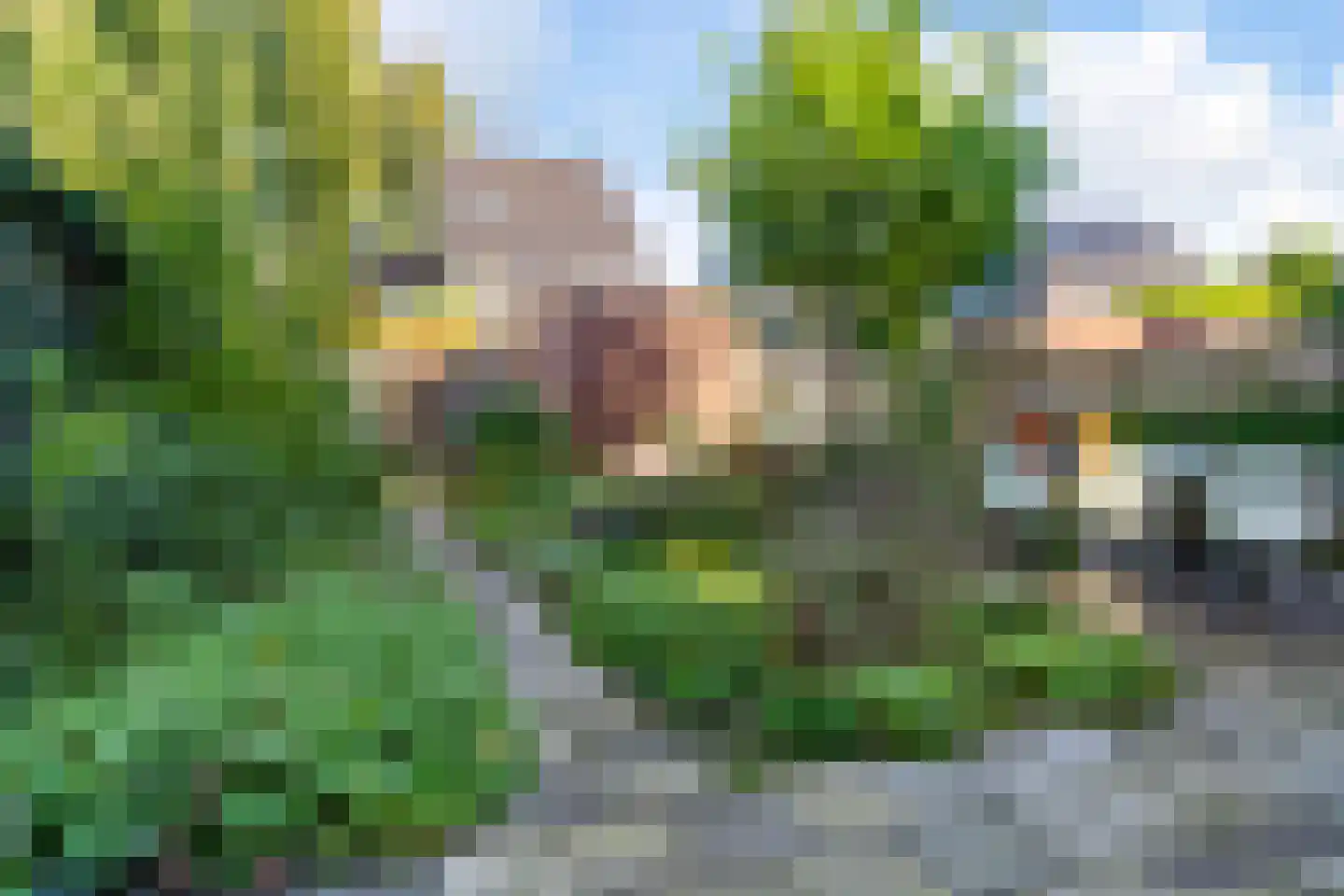 Zenegroen 54 Arnhem thumbnail 20