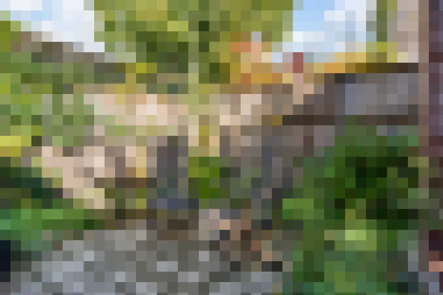 Zenegroen 54 Arnhem thumbnail 21