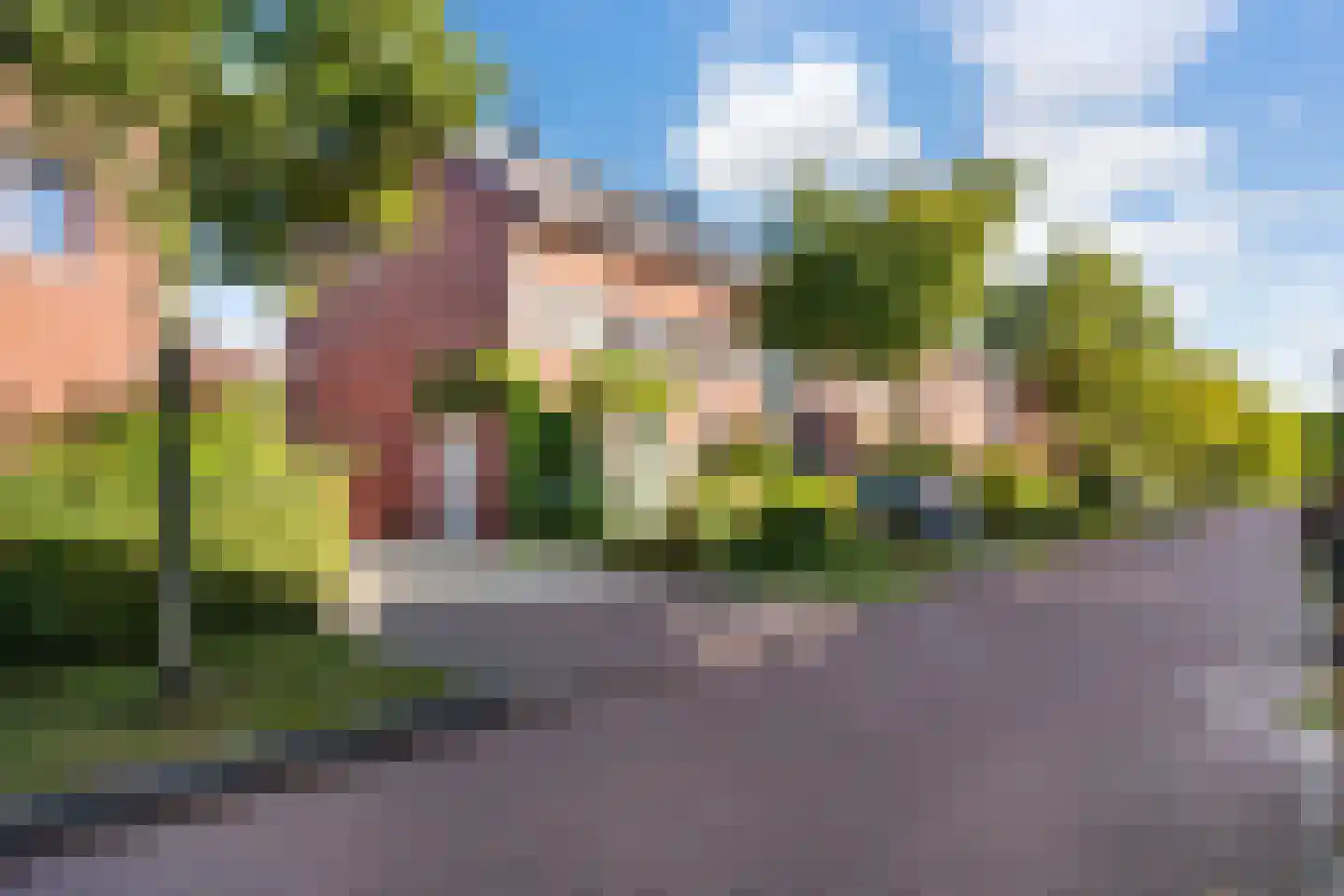Zenegroen 54 Arnhem thumbnail 44